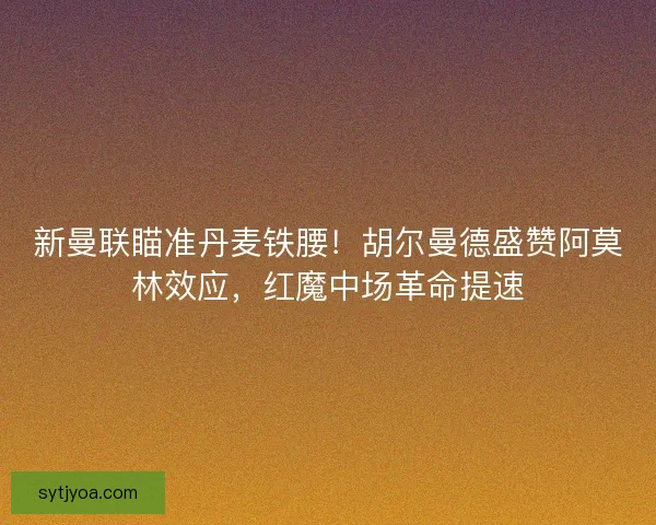 新曼联瞄准丹麦铁腰！胡尔曼德盛赞阿莫林效应，红魔中场革命提速